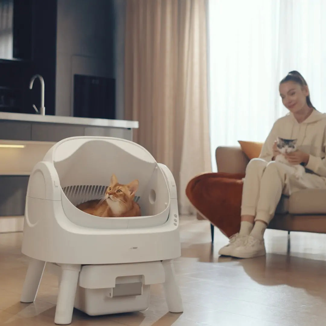 Petpivot Autoscooper Open-Top Automatic Self-Cleaning Cat Litter Box - Hands-Free, 6.5L/1.72Gal, 7L/1.85Gal Capacity, Limited-Time Extra 60 Waste Bags (80 Total Bags)