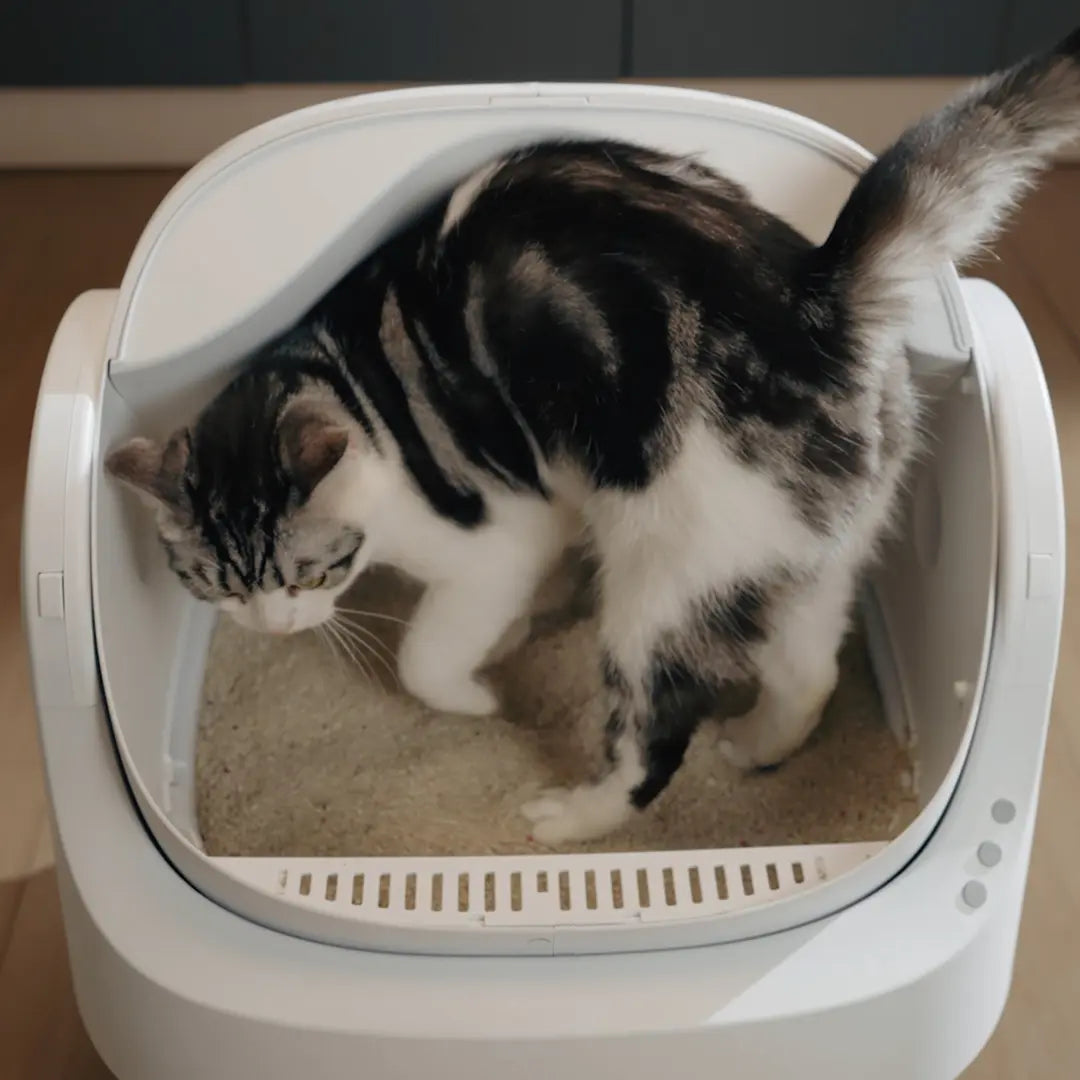 Petpivot Autoscooper Open-Top Automatic Self-Cleaning Cat Litter Box - Hands-Free, 6.5L/1.72Gal, 7L/1.85Gal Capacity, Limited-Time Extra 60 Waste Bags (80 Total Bags)
