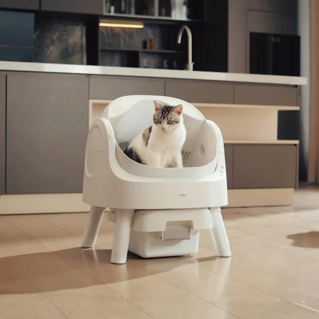 Petpivot Autoscooper Open-Top Automatic Self-Cleaning Cat Litter Box - Hands-Free, 6.5L/1.72Gal, 7L/1.85Gal Capacity, Limited-Time Extra 60 Waste Bags (80 Total Bags)