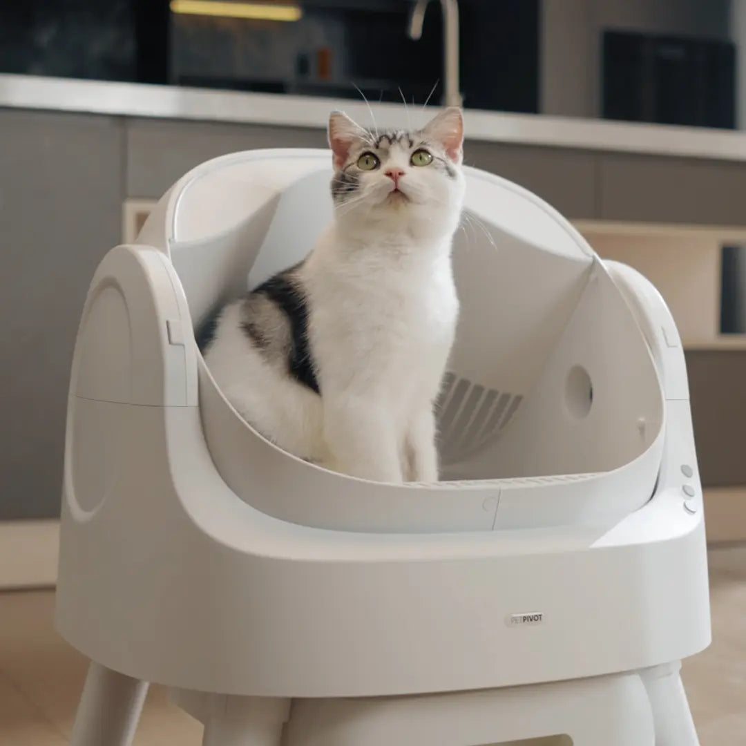 Petpivot Autoscooper Open-Top Automatic Self-Cleaning Cat Litter Box - Hands-Free, 6.5L/1.72Gal, 7L/1.85Gal Capacity, Limited-Time Extra 60 Waste Bags (80 Total Bags)