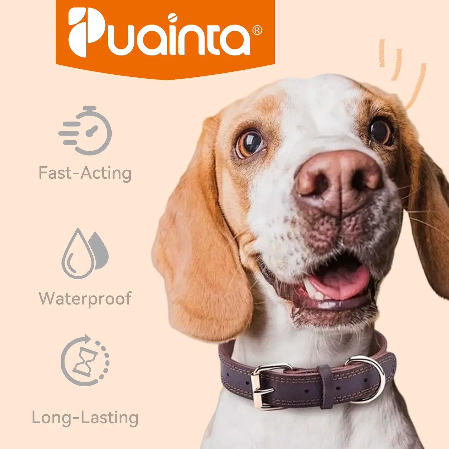 Puainta Flea & Tick Support Drops for Dogs & Cats - Gentle Spot-On Defense, All Breeds