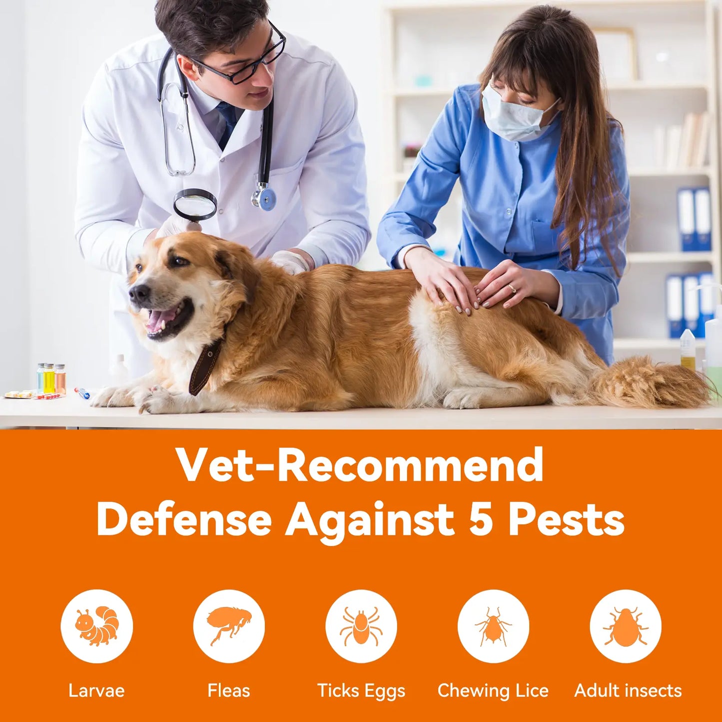 Puainta Flea & Tick Support Drops for Dogs & Cats - Gentle Spot-On Defense, All Breeds