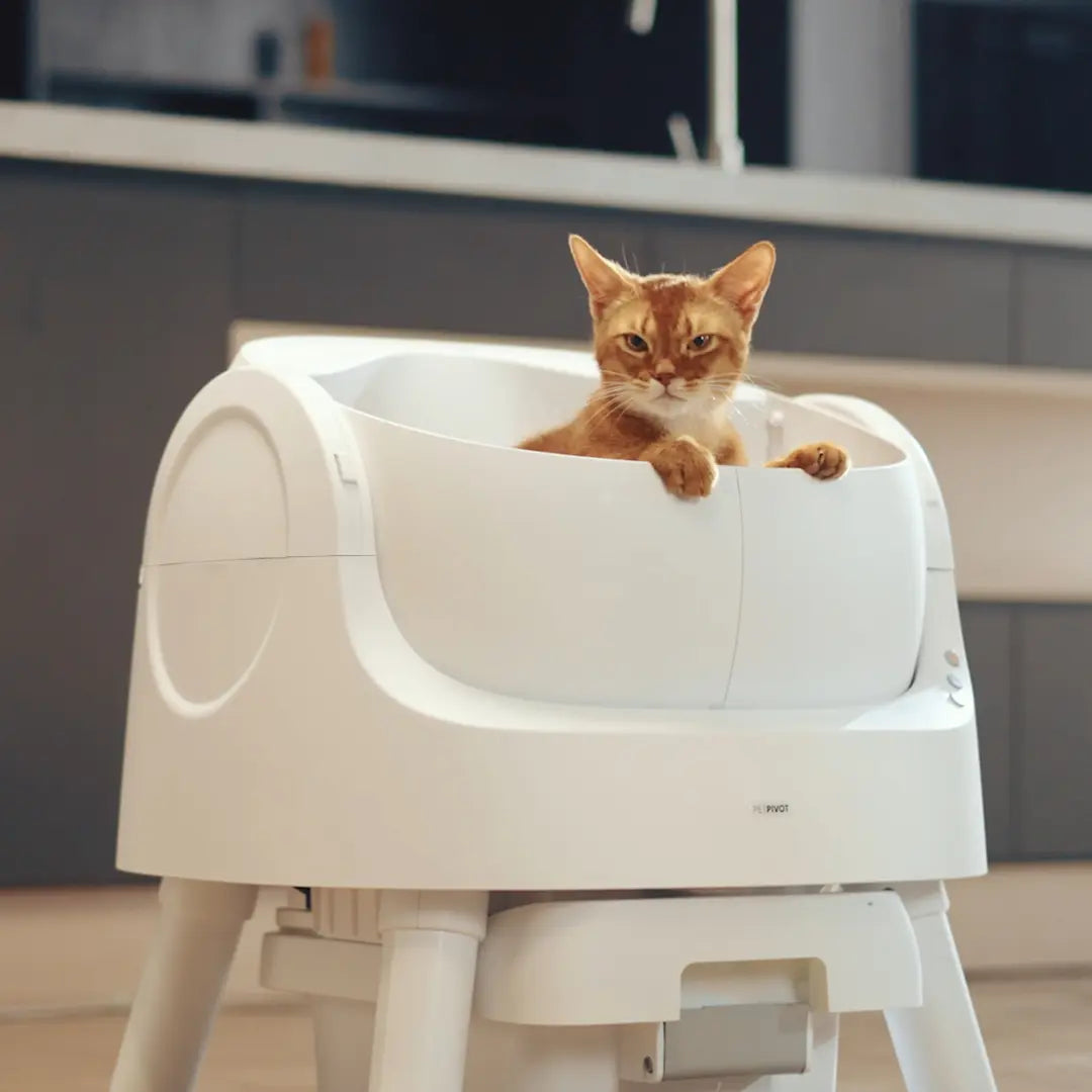 Petpivot Autoscooper Open-Top Automatic Self-Cleaning Cat Litter Box - Hands-Free, 6.5L/1.72Gal, 7L/1.85Gal Capacity, Limited-Time Extra 60 Waste Bags (80 Total Bags)